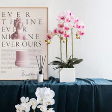 Laden Sie das Bild in den Galerie-Viewer, Vicky Yao Faux Floral - Exclusive Design Artificial 3 Stems Orchid Arrangement White Sube Pot