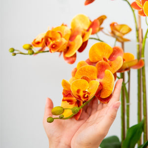 VICKY YAO Faux Floral - Exclusive Design Orange Artificial Phalaenopsis Orchid Arrangement