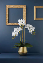 將圖片載入圖庫檢視器 Vicky Yao Faux Floral -Real Touch White Butterfly Orchid Golden Pot - Vicky Yao Home Decor SEO
