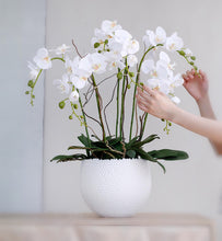 Load image into Gallery viewer, Vicky Yao Faux Floral - Exclusive Design Luxury Handmade 6 Stems Orchid Flower Arrangement