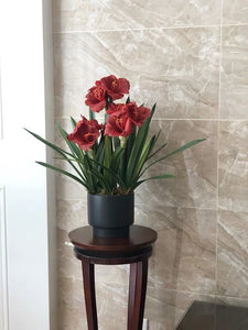 VICKY YAO Faux Floral - Exclusive Design Luxury Artificial Hippeastrum Flower Arrangement