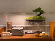 画像をギャラリービューアに読み込む, VICKY YAO Faux Plant - Exclusive Design Artificial Bonsai With a Fairyland Like Reflection In Water