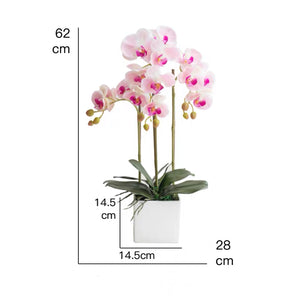 Vicky Yao Faux Floral - Exclusive Design Artificial 3 Stems Orchid Arrangement White Sube Pot
