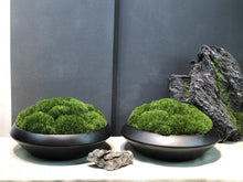 將圖片載入圖庫檢視器 VICKY YAO Preserved Moss - Exclusive Design Preserved Moss Bowl Art In Ceramic Pot