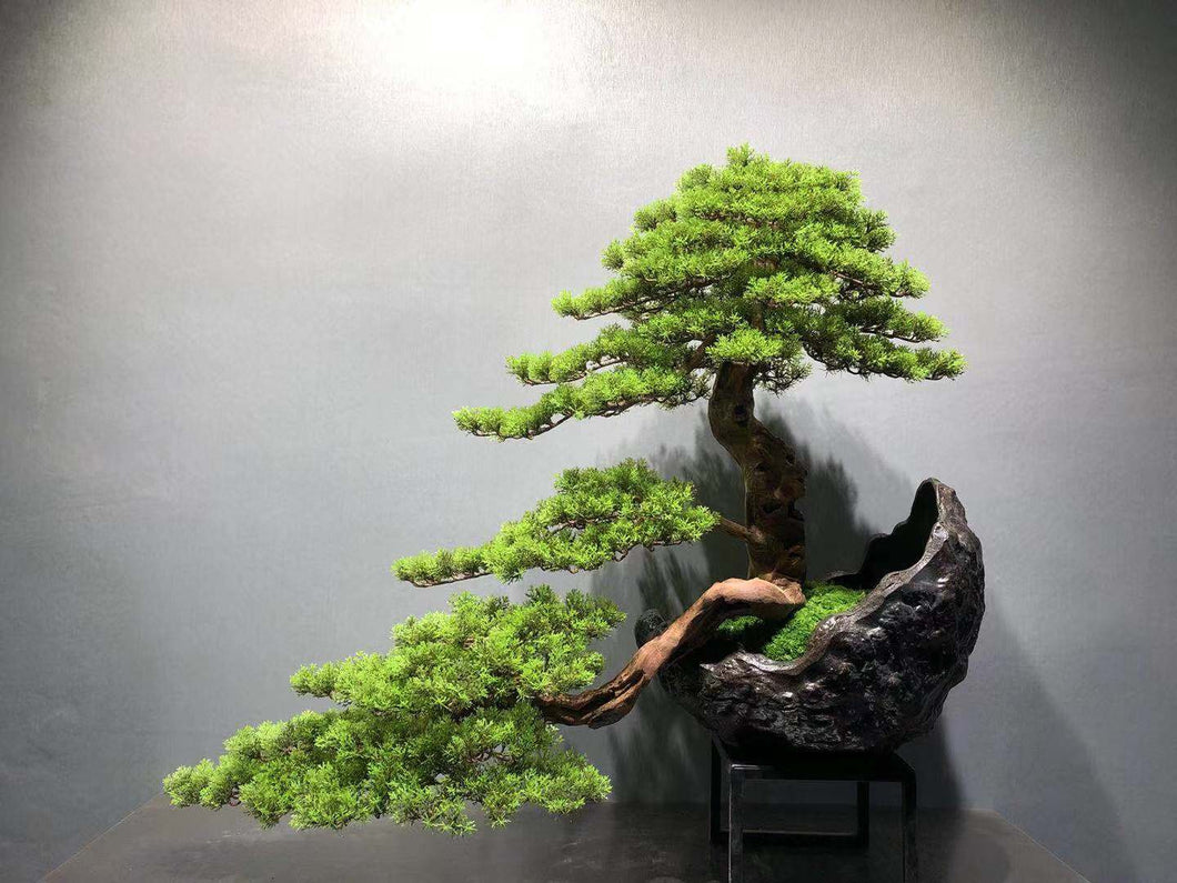 VICKY YAO Fine Art - Hand Made Exclusive Limited Deluxe Faux Bonsai Art 50Dx100Wx75cmH