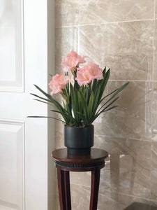 VICKY YAO Faux Floral - Exclusive Design Luxury Artificial Hippeastrum Flower Arrangement