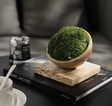 Load image into Gallery viewer, VICKY YAO Preserved Moss - Exclusive Special Travertine Stone Unique Preserved Moss Art