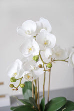 Laden Sie das Bild in den Galerie-Viewer, Vicky Yao Faux Floral -Real Touch White Butterfly Orchid Golden Pot - Vicky Yao Home Decor SEO