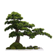 Laden Sie das Bild in den Galerie-Viewer, VICKY YAO -  December Limited Handmade high-end bonsai art works