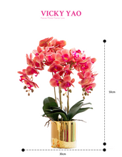 Load image into Gallery viewer, VICKY YAO Faux Floral - Exclusive Design Real Touch Artificial 5Stems White Orchid Flower Arrangement