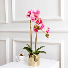 將圖片載入圖庫檢視器 Vicky Yao Faux Floral -Real Touch Small 2 Stem of Butterfly Orchid Golden Pot - Vicky Yao Home Decor SEO