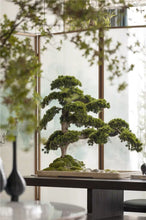 Laden Sie das Bild in den Galerie-Viewer, VICKY YAO -  December Limited Handmade high-end bonsai art works