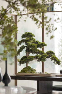 VICKY YAO -  December Limited Handmade high-end bonsai art works