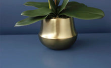 將圖片載入圖庫檢視器 Vicky Yao Faux Floral -Real Touch White Butterfly Orchid Golden Pot - Vicky Yao Home Decor SEO