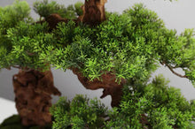 画像をギャラリービューアに読み込む, VICKY YAO Faux Plant - Exclusive Design Luxury Faux Green Bonsai Art