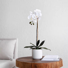 將圖片載入圖庫檢視器 Vicky Yao Fragrance - Real Touch Artificial  Orchid 1 Stem Flower Arrangement White Pot