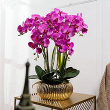 Laden Sie das Bild in den Galerie-Viewer, Vicky Yao Faux Floral  - Exclusive Design Fushia Artificial Orchid Pot Flower Arrangement