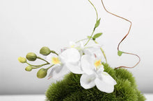 Load image into Gallery viewer, VICKY YAO Faux Floral - Exclusive Design Fresh Green Faux Plant Arrangement