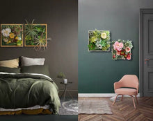 將圖片載入圖庫檢視器 Vicky Yao Floral Bespoke -Colorful Plant Wall Art - Vicky Yao Home Decor SEO
