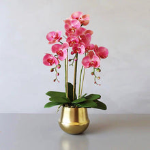 Load image into Gallery viewer, Vicky Yao Faux Floral -Exclusive Design Real Touch Exclusive Design Luxury Faux Orchids Arrangement in Golden Pot