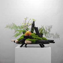 Laden Sie das Bild in den Galerie-Viewer, Vicky Yao Faux Bonsai Art - Global Limited 10 sets Oriental Art Faux Bonsai Art
