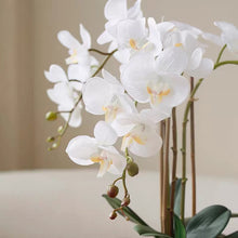 Laden Sie das Bild in den Galerie-Viewer, Vicky Yao Faux Floral -Exclusive Design Real Touch Exclusive Design Luxury Faux Orchids Arrangement in Golden Pot