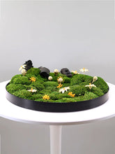 Load image into Gallery viewer, VICKY YAO Preserved Moss- Exclusive Design Summer Green Preserved Moss Bowl Arrangement