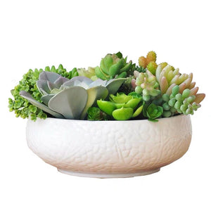 Vicky Yao Faux Floral - Real Touch colorful Succulents Arrangement - Vicky Yao Home Decor SEO