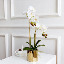 Load image into Gallery viewer, Vicky Yao Faux Floral -Real Touch Small 2 Stem of Butterfly Orchid Golden Pot - Vicky Yao Home Decor SEO