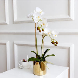 Vicky Yao Faux Floral -Real Touch Small 2 Stem of Butterfly Orchid Golden Pot - Vicky Yao Home Decor SEO