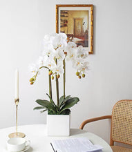 Laden Sie das Bild in den Galerie-Viewer, Vicky Yao Faux Floral - Exclusive Design Artificial 3 Stems Orchid Arrangement White Sube Pot