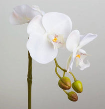 Load image into Gallery viewer, Vicky Yao Faux Floral -Real Touch Small 2 Stem of Butterfly Orchid Golden Pot - Vicky Yao Home Decor SEO