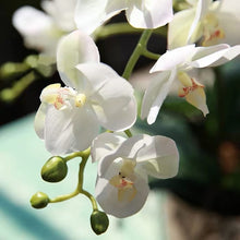 画像をギャラリービューアに読み込む, Vicky Yao Faux Floral - Exclusive Design Luxury Real Touch Artificial White Orchid Arrangement In Silver Vase