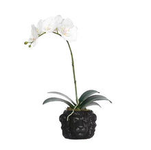 画像をギャラリービューアに読み込む, Vicky Yao Faux Floral - Exclusive Design Real Touch Artificial Orchid Arrangement In Lion Head Pot